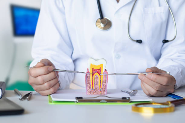 Best Knocked-Out Tooth Emergency  in Santa Clara, UT